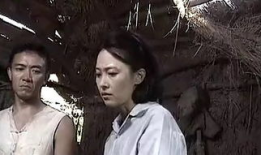 情债电视剧,爱恨交织的纠葛人生